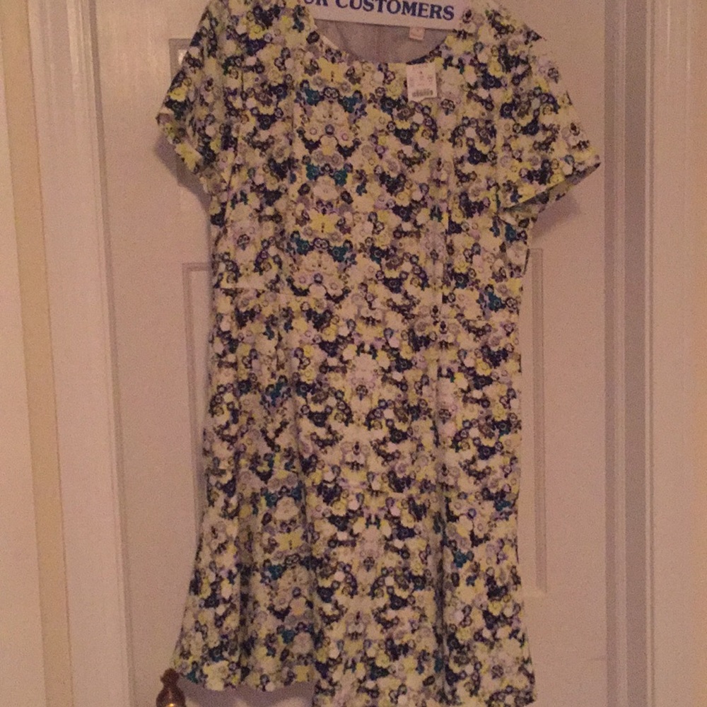 J.Crew Dress